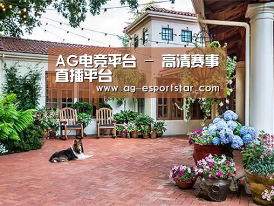 客户案例标题九