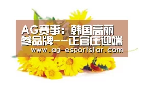AG篮球
